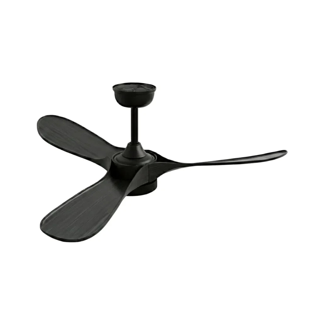 Borée | Ventilateur vintage noir et bois noir, LED