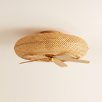 Lagon Brizea, ventilateur de plafond