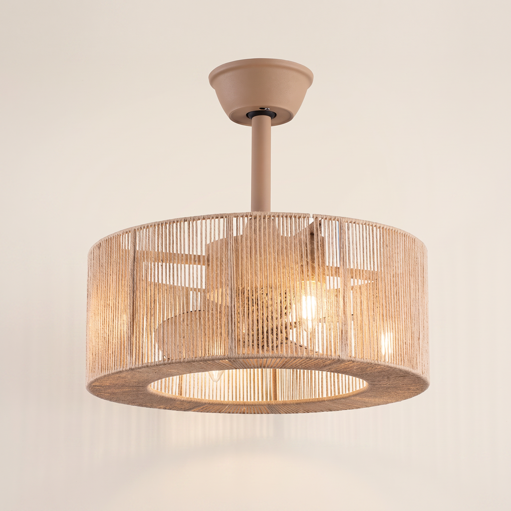 Lin Brizea, ventilateur de plafond
