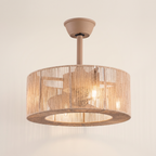 Lin Brizea, ventilateur de plafond