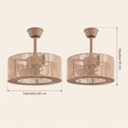 Lin Brizea, ventilateur de plafond
