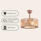 Lin Brizea, ventilateur de plafond