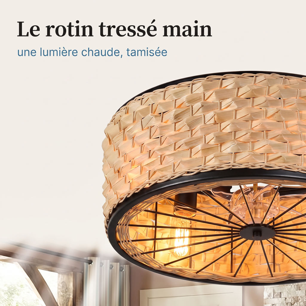 Osier Brizea, ventilateur de plafond