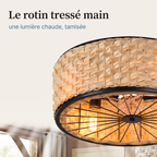 Osier Brizea, ventilateur de plafond