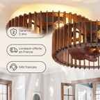 Teck Brizea, ventilateur de plafond