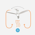 Cap LED Nuit, ventilateur de plafond bois massif noir avec LED, vue 3