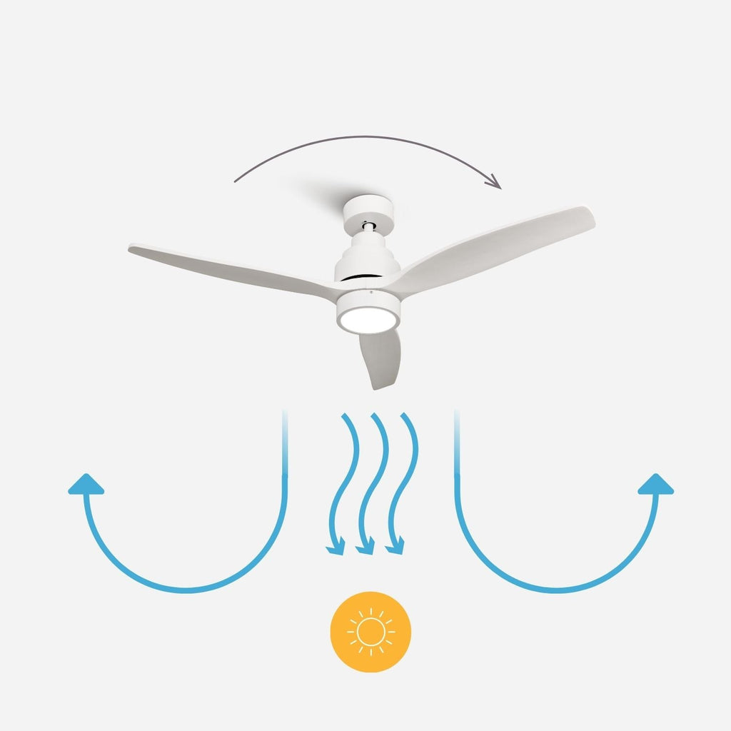 Éclipse Ivoire, ventilateur de plafond moderne blanc et bois clair, vue 8