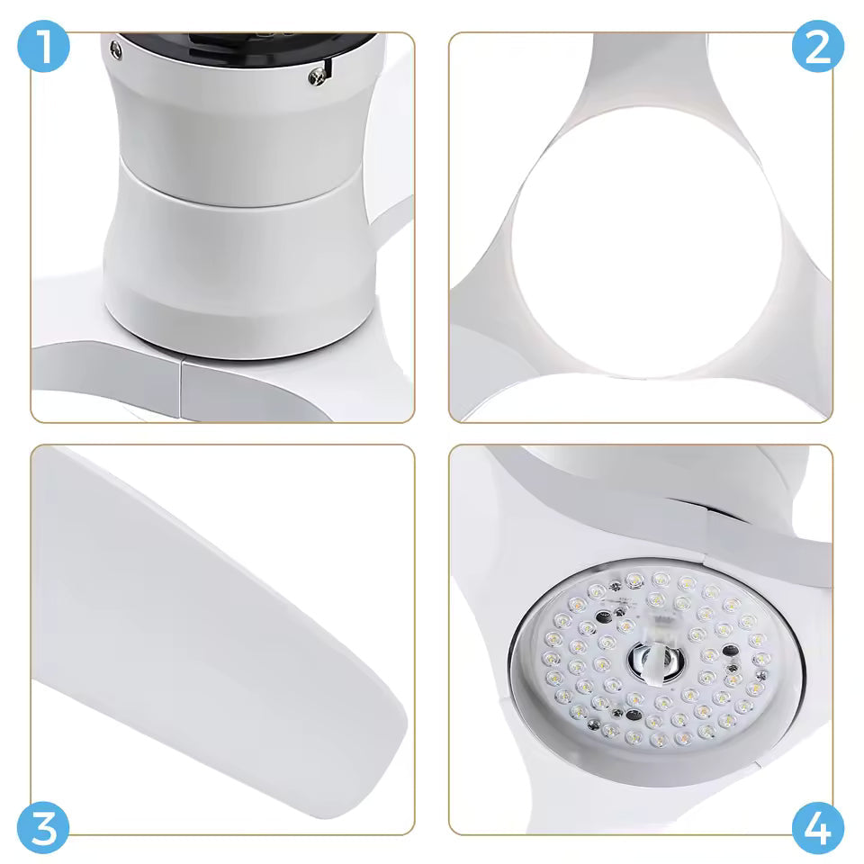 Fjord LED, ventilateur de plafond en bois massif avec LED intégrée, vue 4