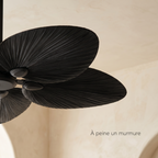 Pales palmier du ventilateur Palma, ultra silencieux